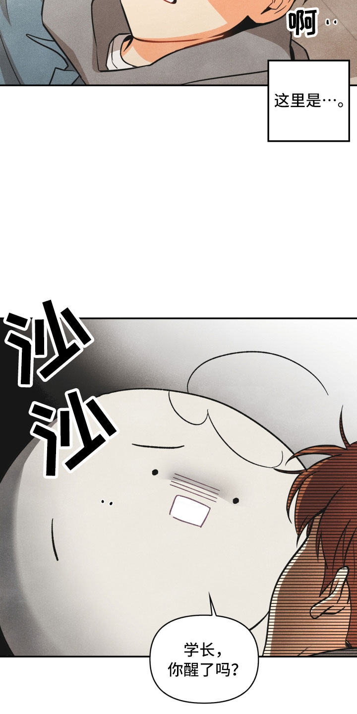 玩偶攻略漫画,第3章：奇怪的布偶1图