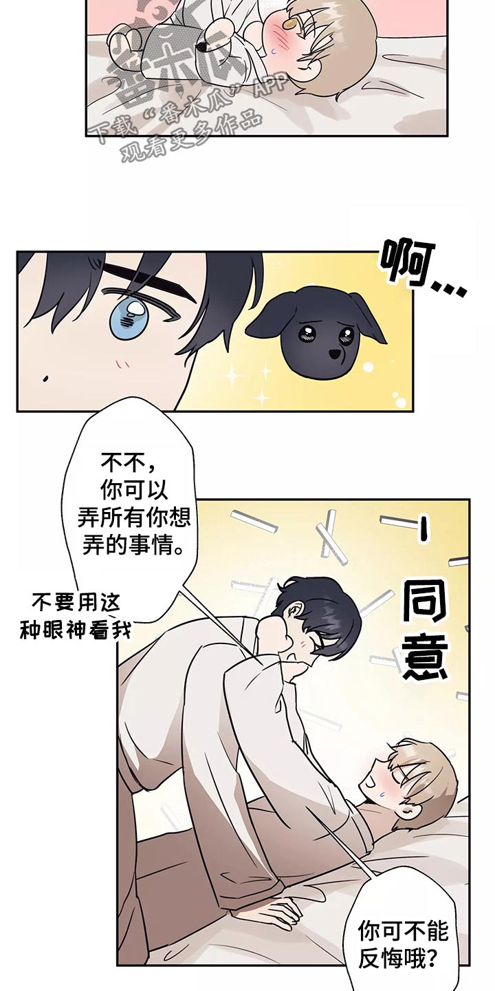 妒火灼心小说全文阅读漫画,第40章：车祸5图