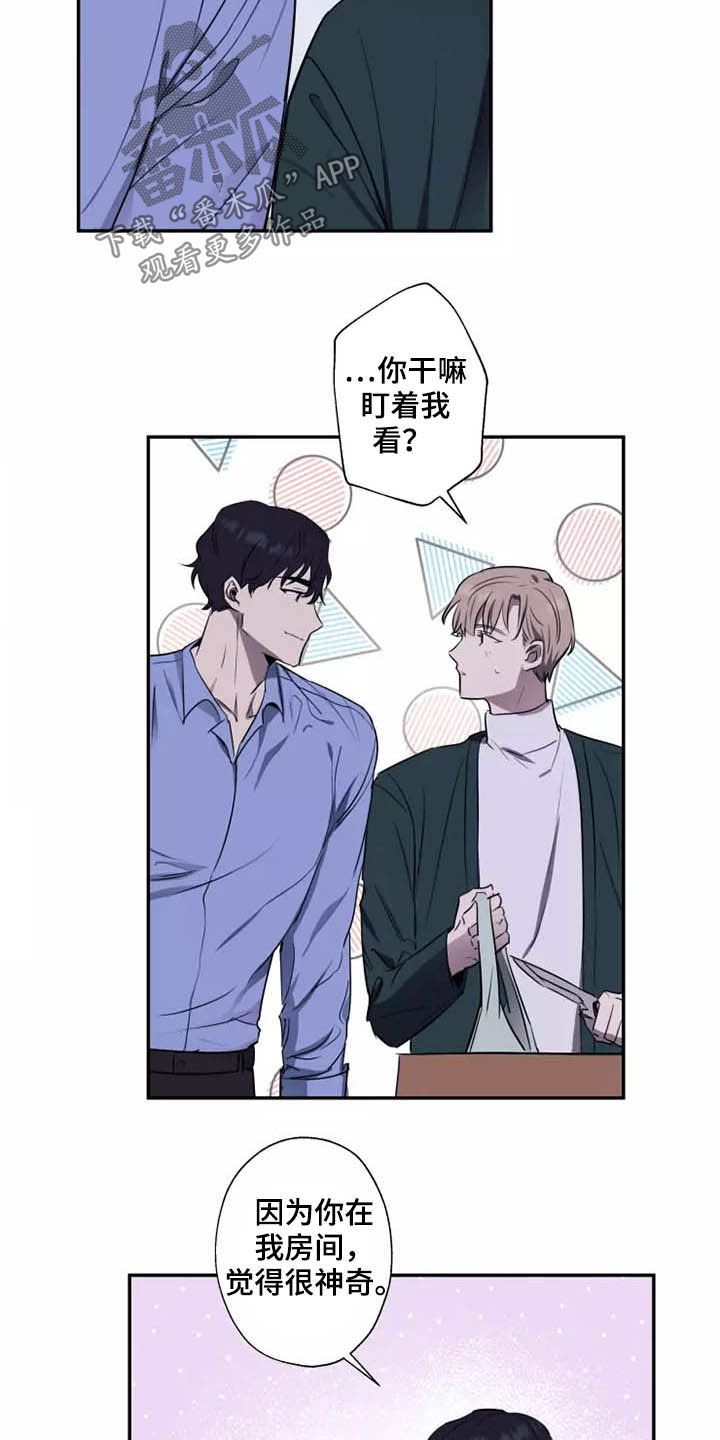 妒火灼心漫画,第17章：产生好奇5图