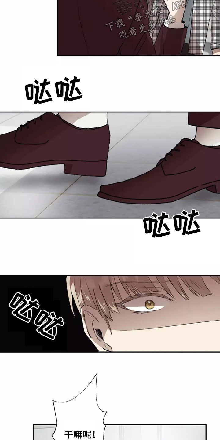 妒火中烧指什么生肖漫画,第38章：反抗1图