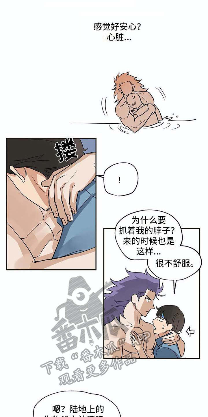 海神居所漫画,第17章：又回来了4图