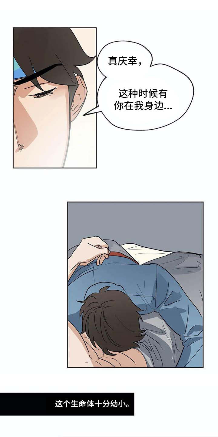 海神府邸周围是什么花漫画,第31章：依靠3图