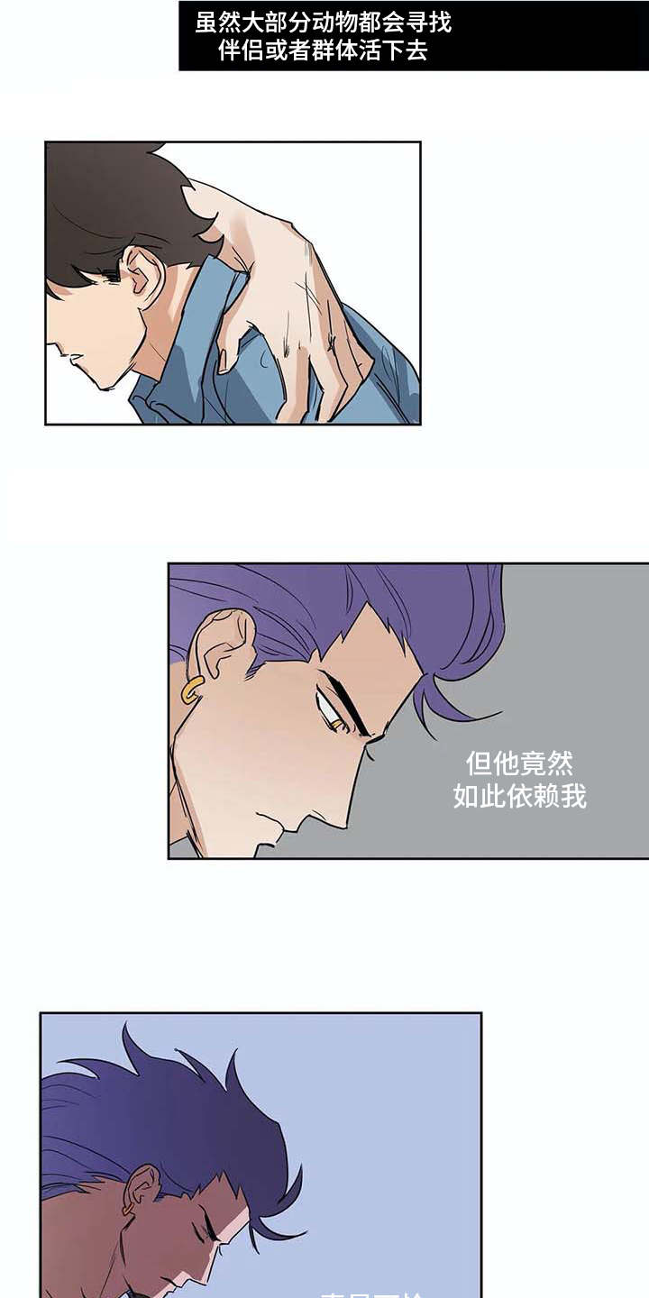 海神府邸周围是什么花漫画,第31章：依靠4图