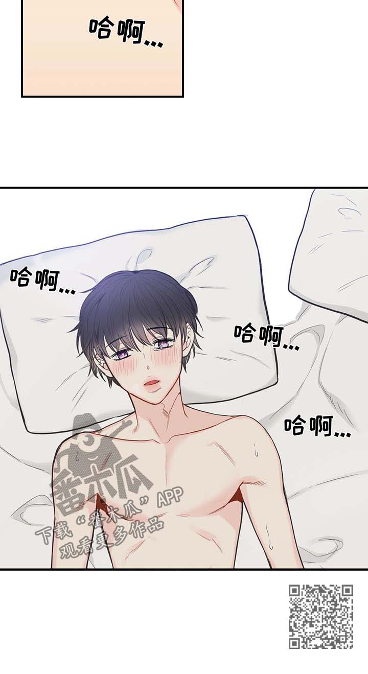 四叶草户型漫画,第52章：盲目选择相信2图