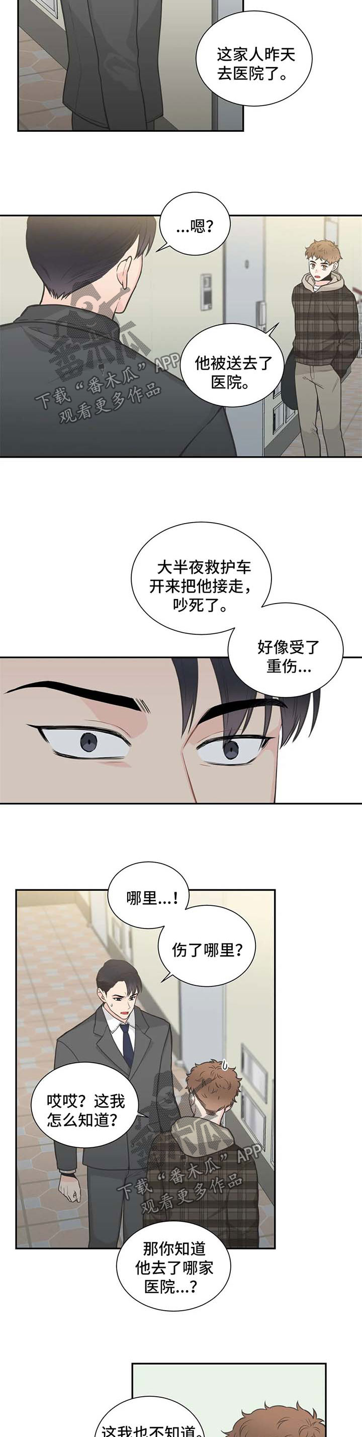 四叶草漫画,第95章：【第二季】得知消息3图
