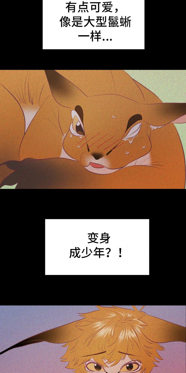 海市王国漫画,第15章：蜥蜴少年5图