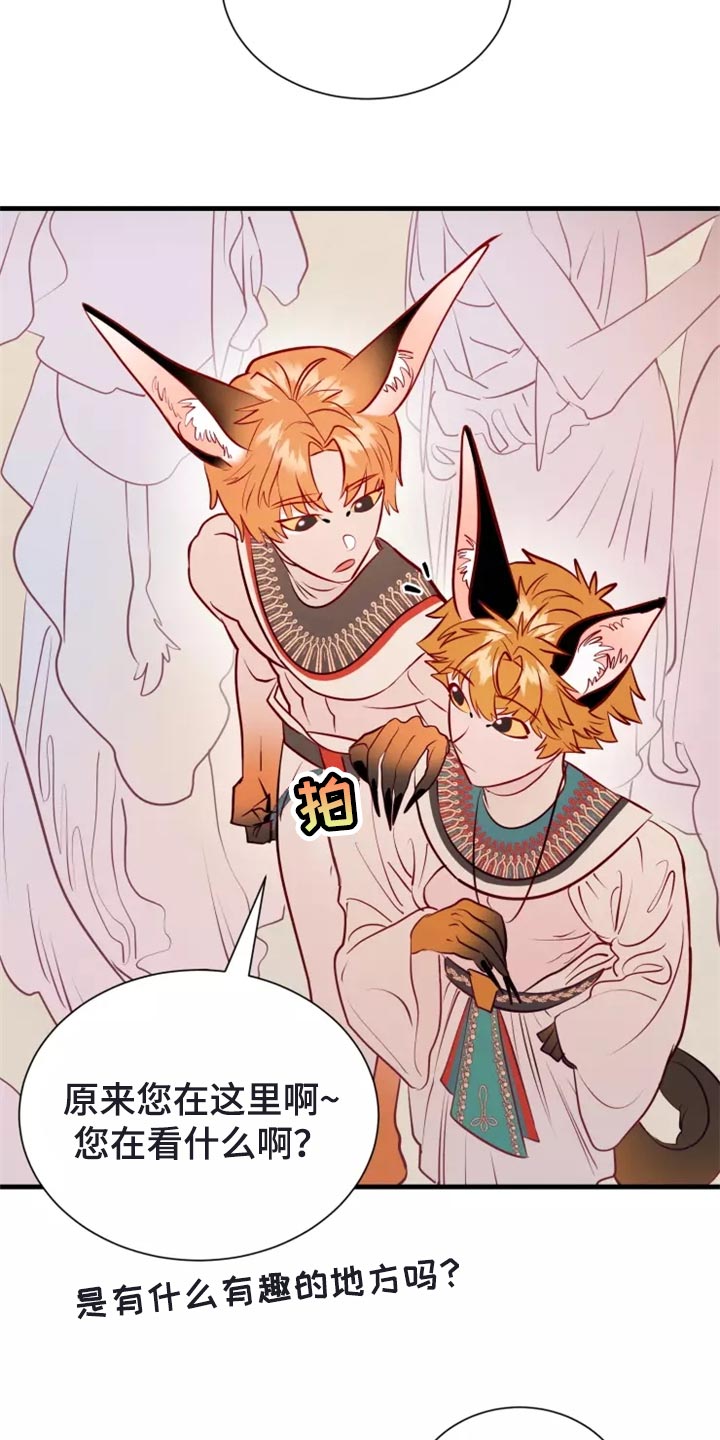 海市王国漫画,第44章：撤退4图