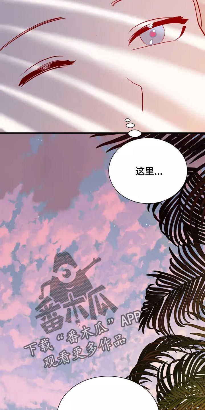 海市王国漫画,第65章：果然很像3图