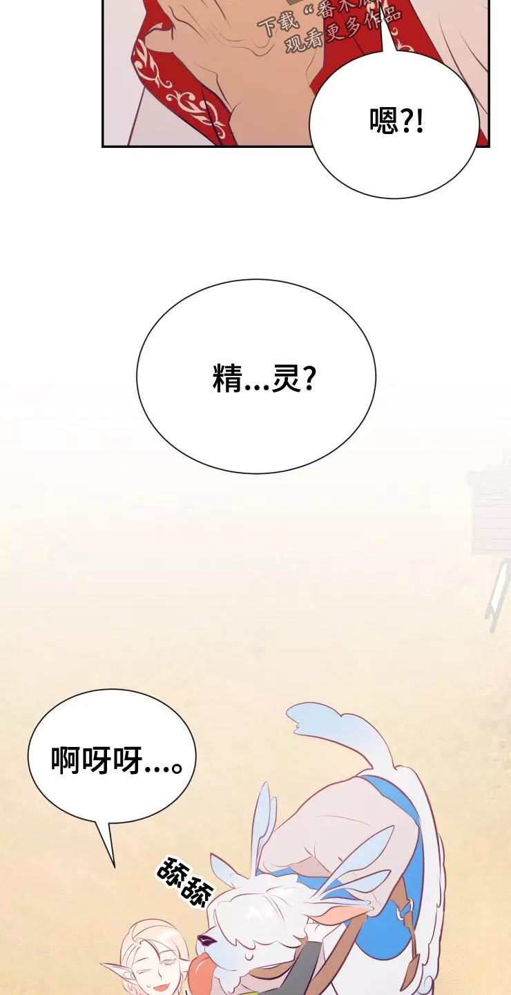 海市蜃楼于荣光完整版漫画,第39章：精灵族5图