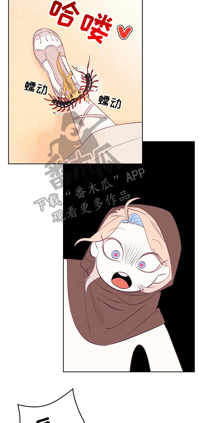 海市蜃楼于荣光完整版漫画,第5章：大祭司1图