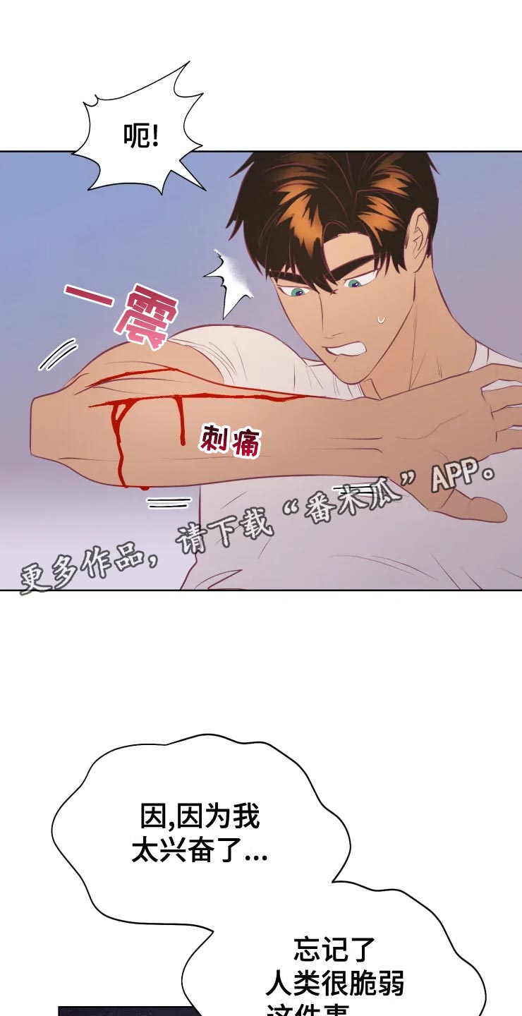 海市王国漫画,第36章：王国庆典1图