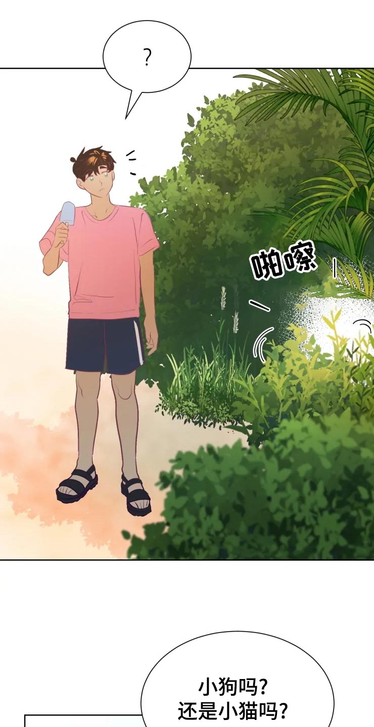 海市蜃楼舞蹈教学漫画,第29章：初恋3图