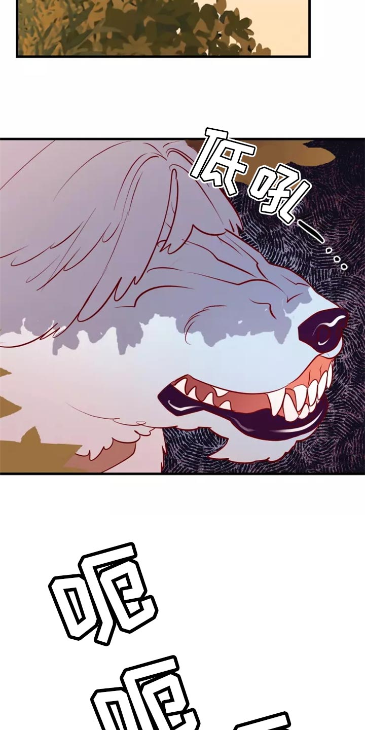 海市王国漫画,第42章：触手4图