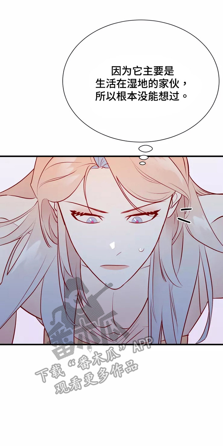 海市蜃楼于荣光完整版漫画,第49章：快跑2图