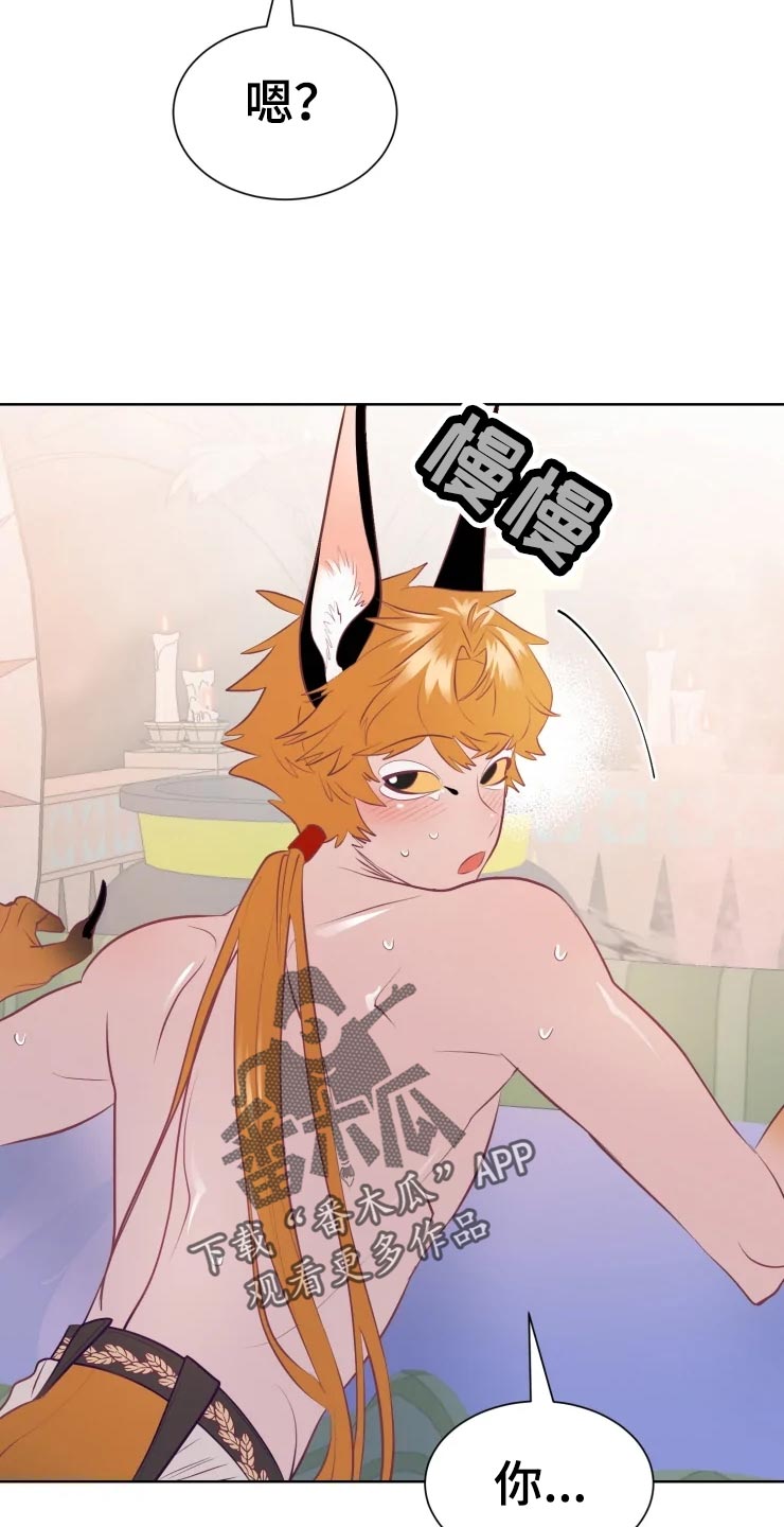 海市王国漫画,第20章：最好的治疗师2图