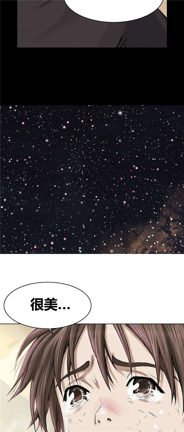 末世觉醒之入侵简介漫画,第24章：星星2图
