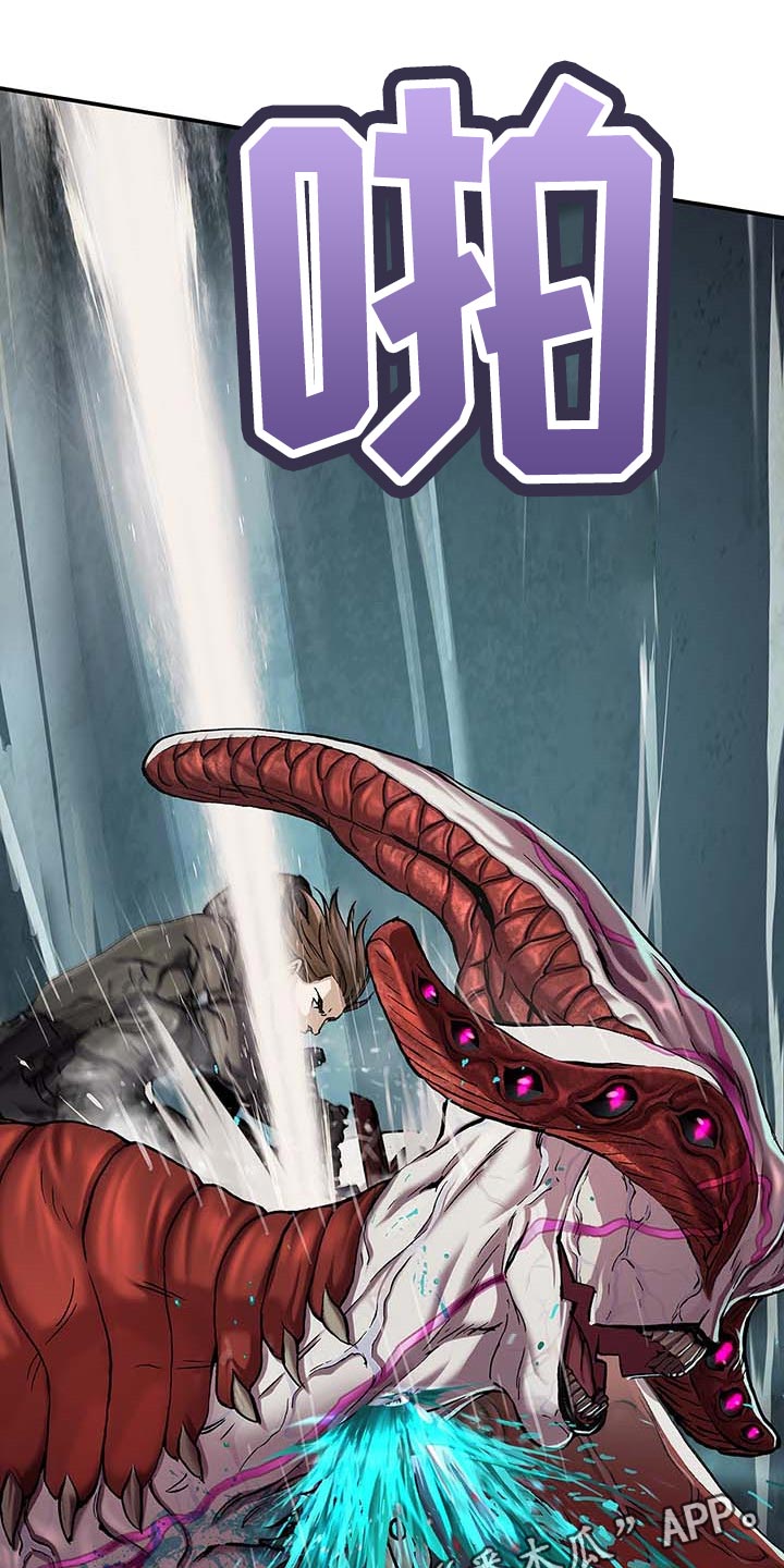 末世泽国漫画,第283章：怜悯已经结束1图