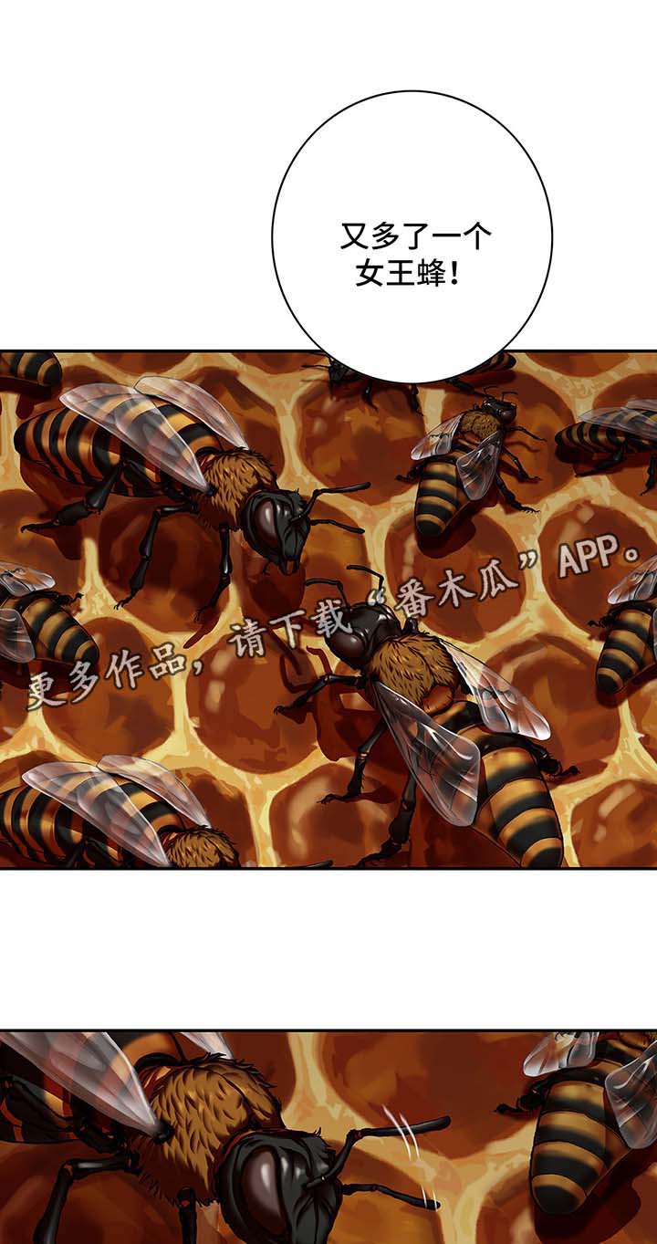 末世觉醒之入侵简介漫画,第204章：蜂后争夺3图