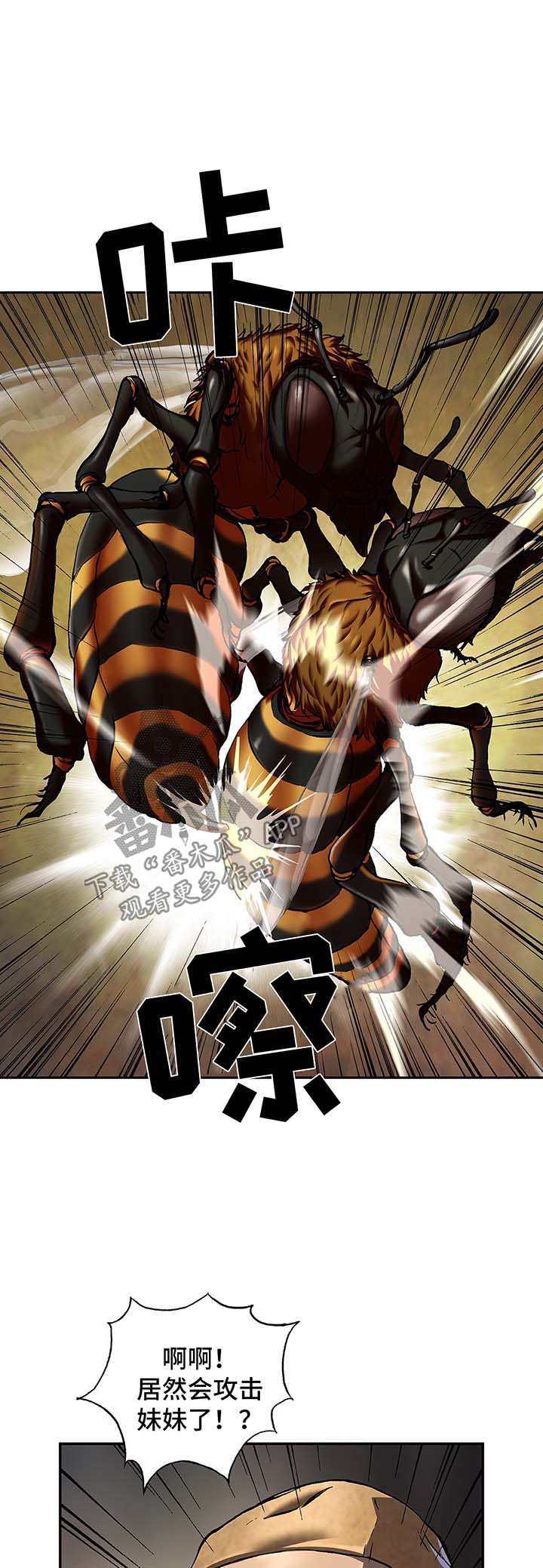 末世觉醒之入侵简介漫画,第204章：蜂后争夺5图