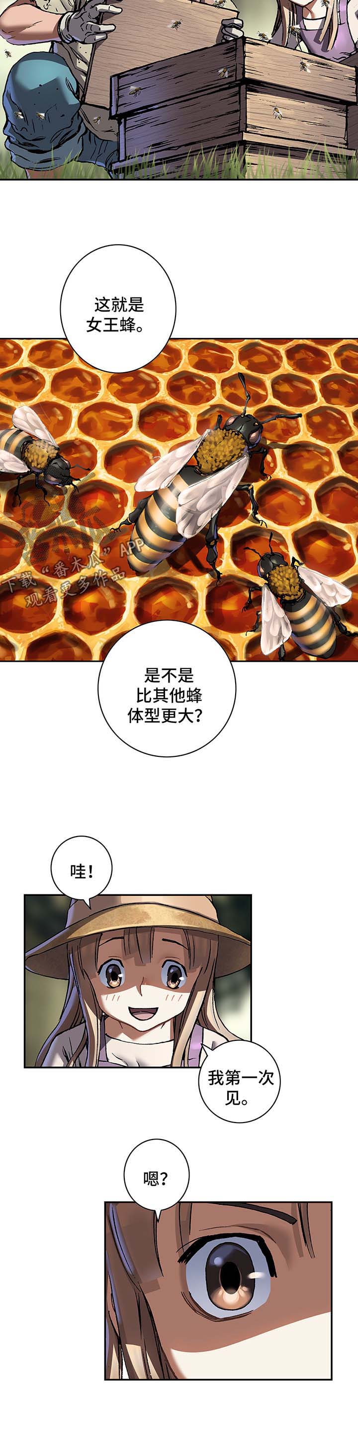 末世觉醒之入侵简介漫画,第204章：蜂后争夺2图
