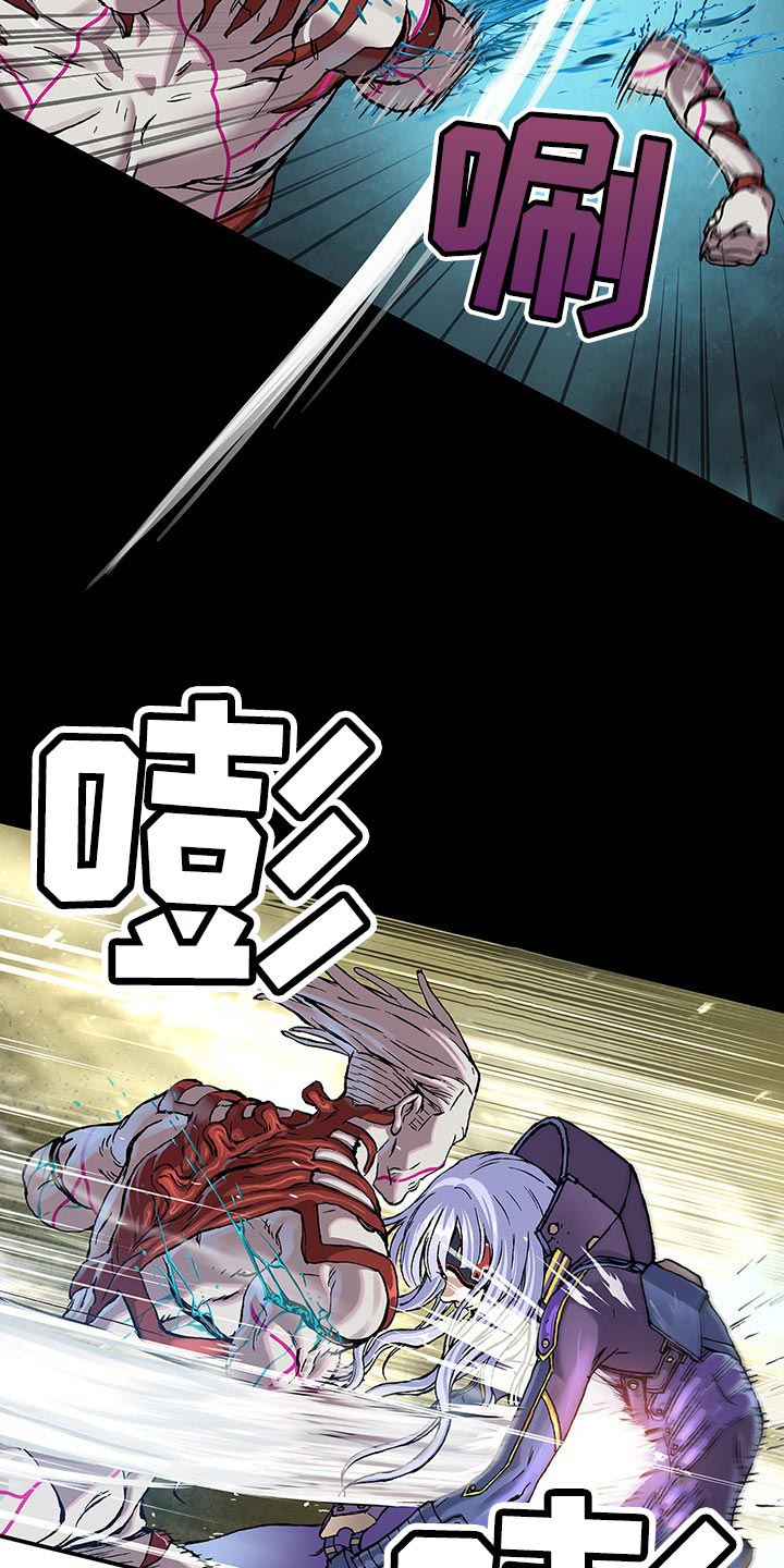 末世泽国小说漫画,第295章：恶斗2图