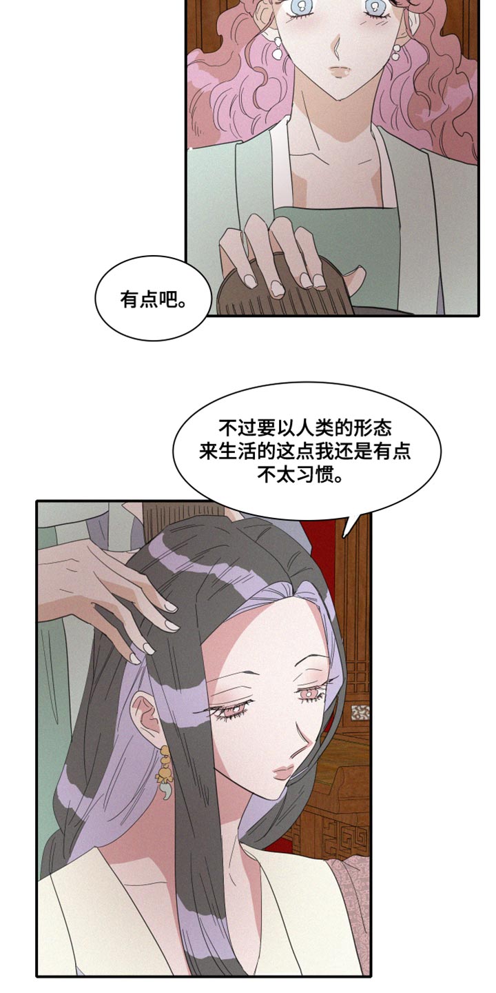 人鱼海漫画,第42章：冷血无情2图