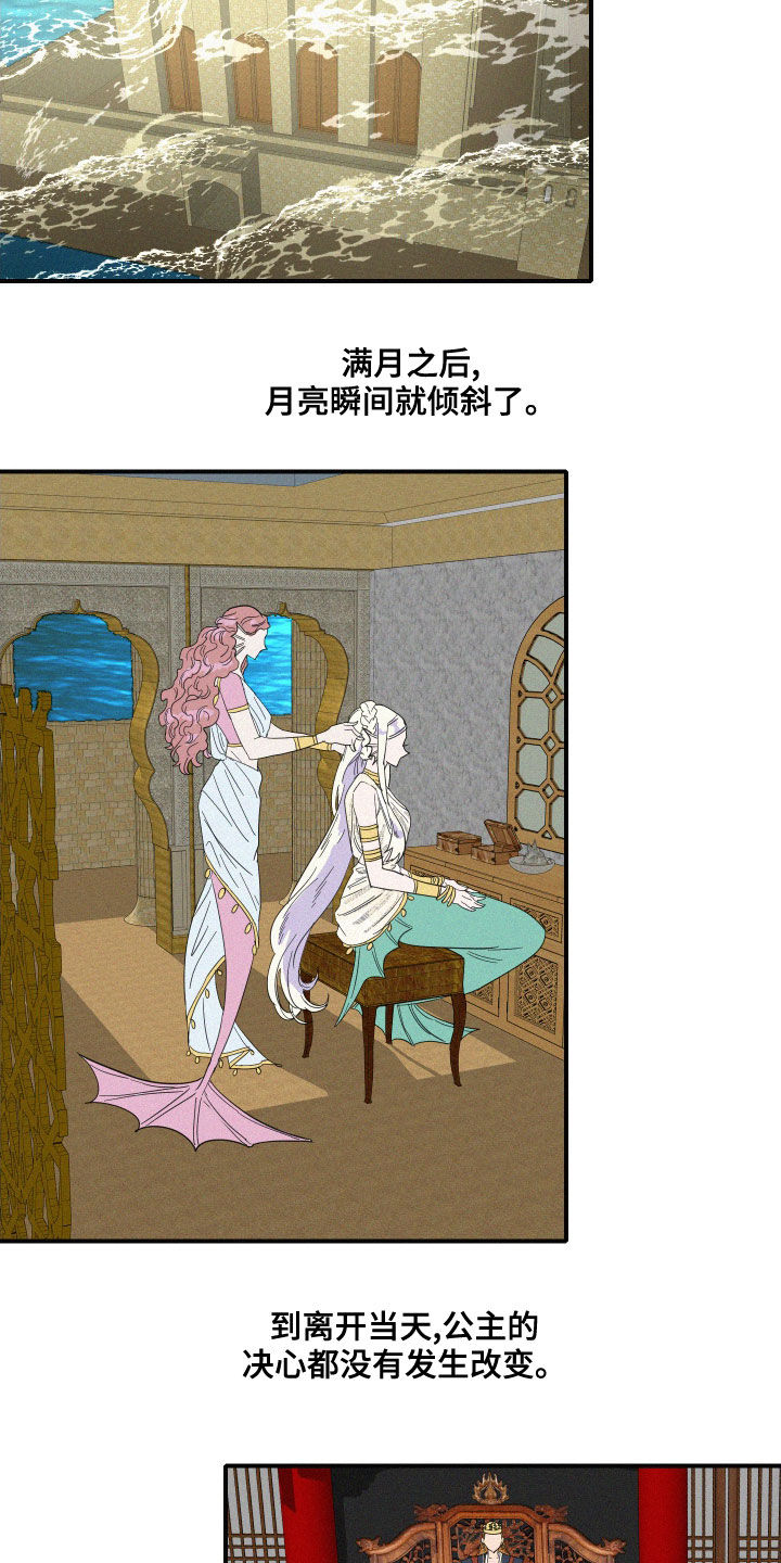 人鱼海漫画,第40章：婚礼3图