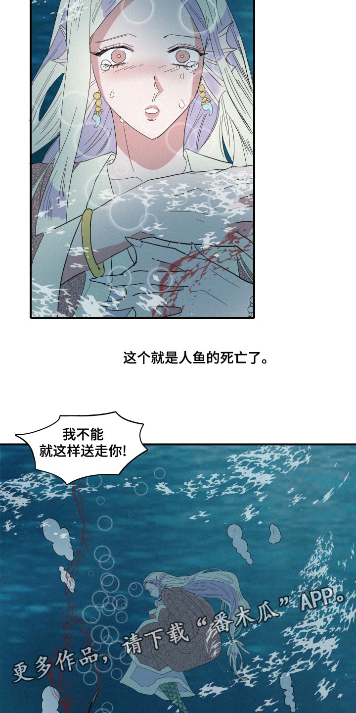 人鱼海漫画,第47章：泡沫5图