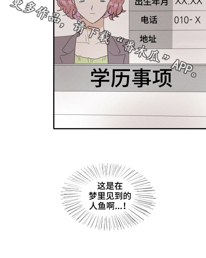 人鱼海漫画,第21章：梦到的人鱼5图