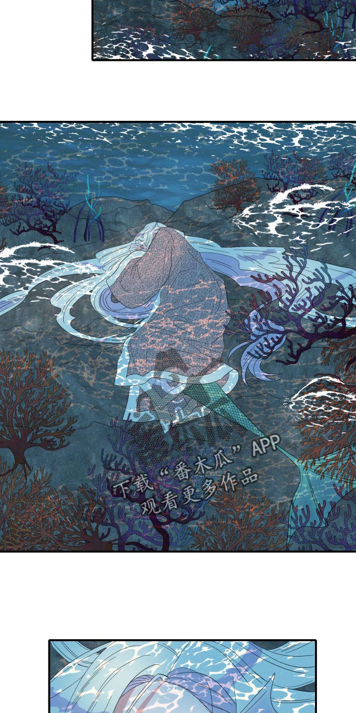 人鱼海漫画,第48章：月神降临5图