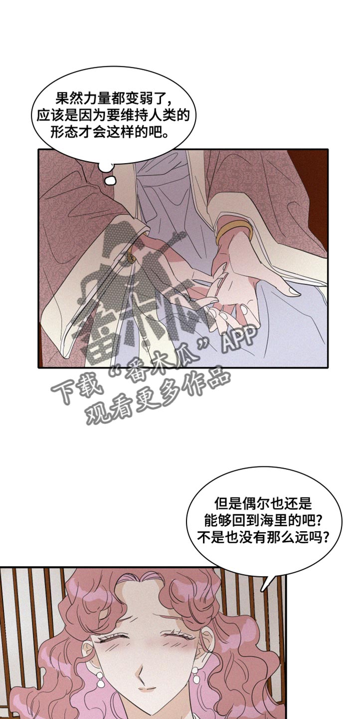人鱼海漫画,第42章：冷血无情3图