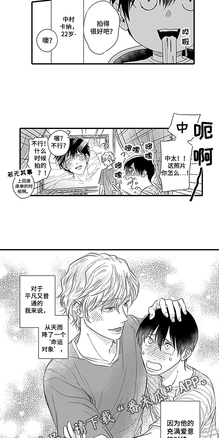 命运来到我身边漫画,第19章：天降命运【完结】2图