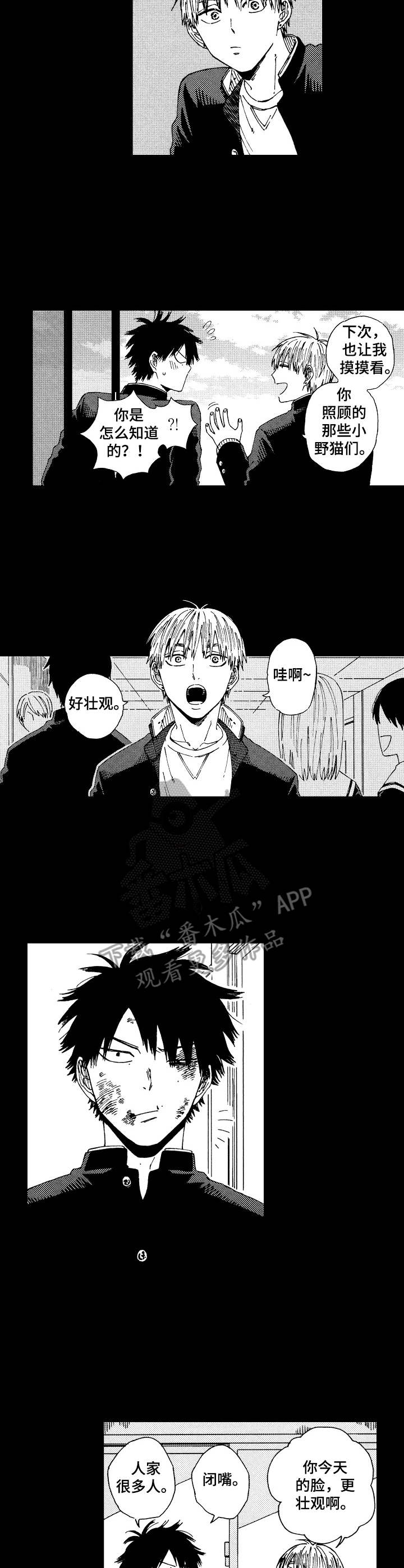 沙迦古城漫画,第13章：善意4图