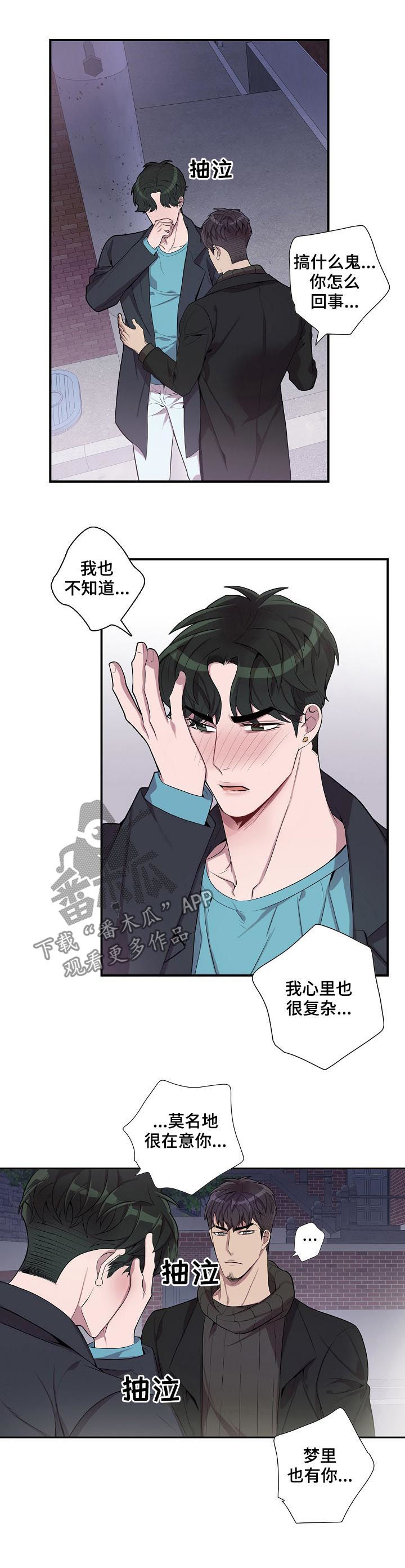 矛盾关系漫画,第53章：别后悔4图