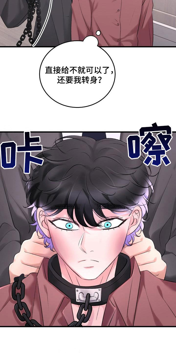 乱来的初恋漫画,第35章：项圈1图