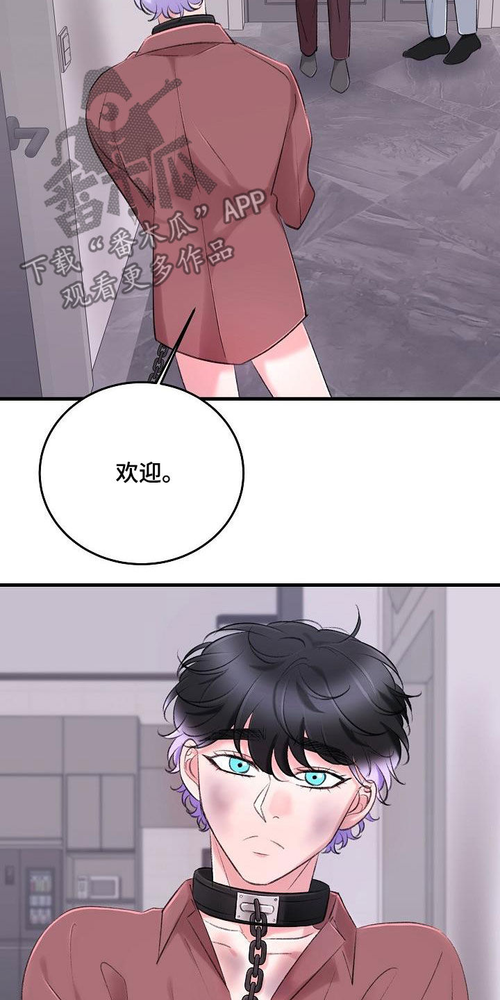 乱来的初恋漫画,第36章：追查3图