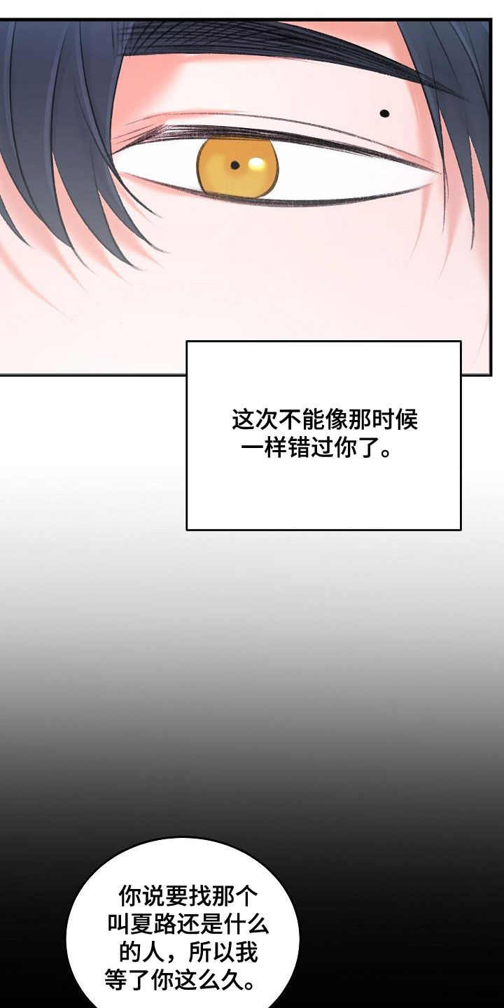 乱来的初恋漫画,第38章：杀了我5图