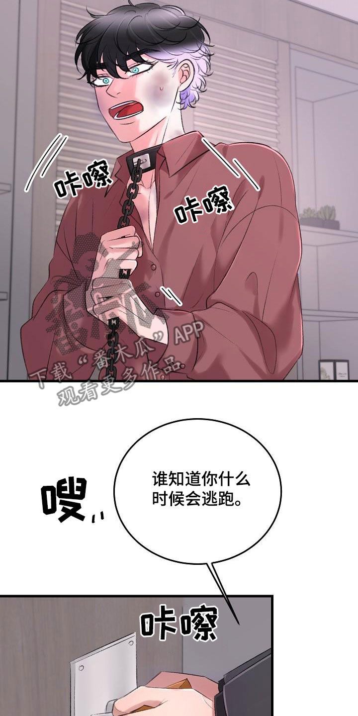 乱来的初恋漫画,第35章：项圈4图