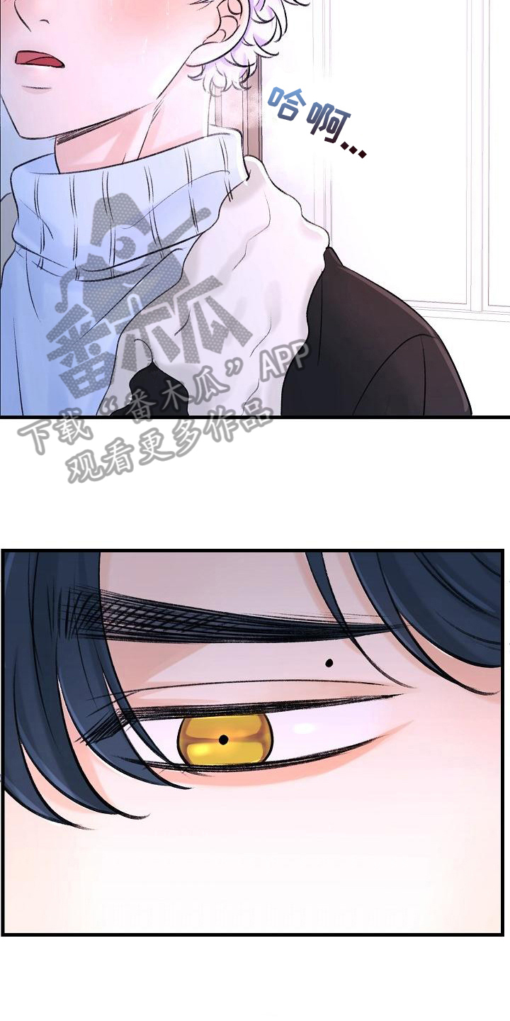 乱来的初恋漫画,第14章：收留4图