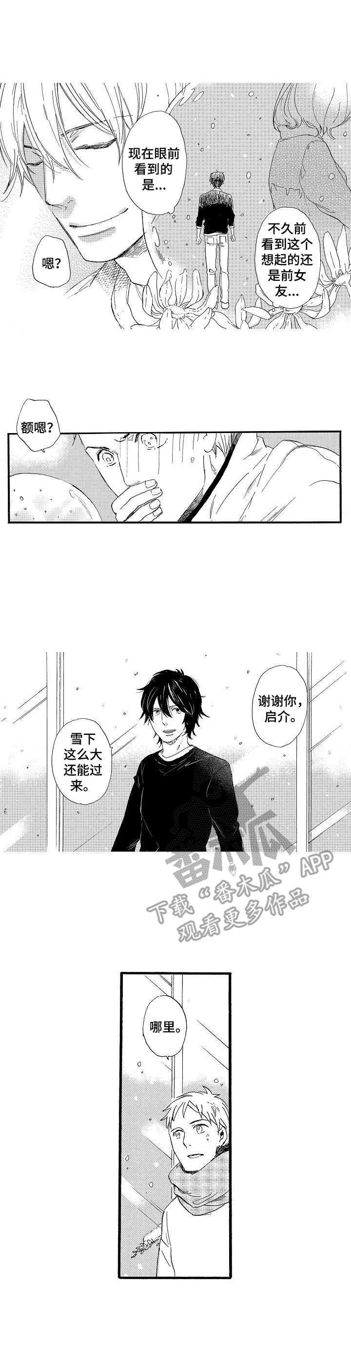 粉丝经济投资收益漫画,第25章：雪和玻璃（完结）1图