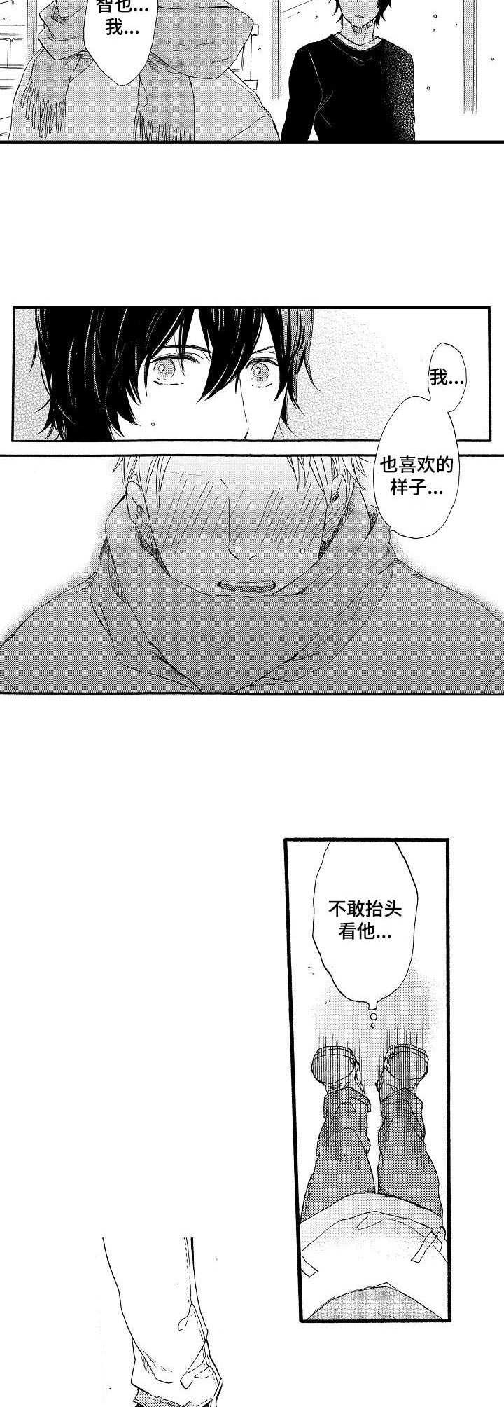 粉丝经济投资收益漫画,第25章：雪和玻璃（完结）5图