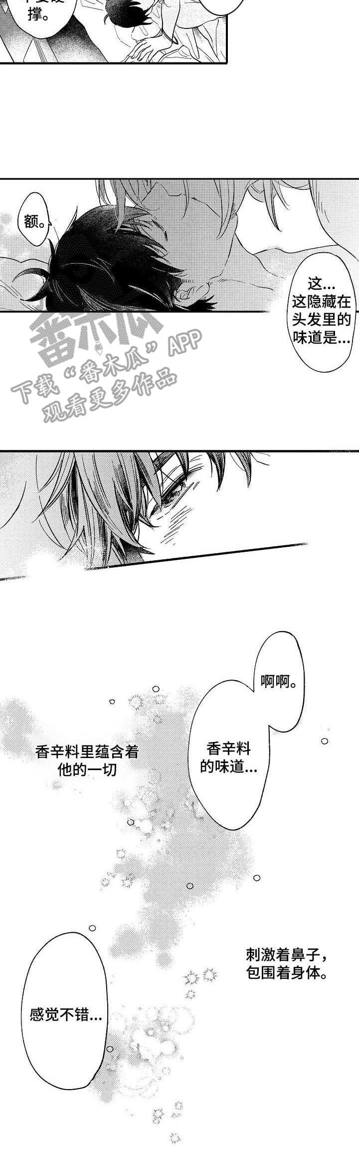 粉丝经济行业漫画,第23章：香辛料4图