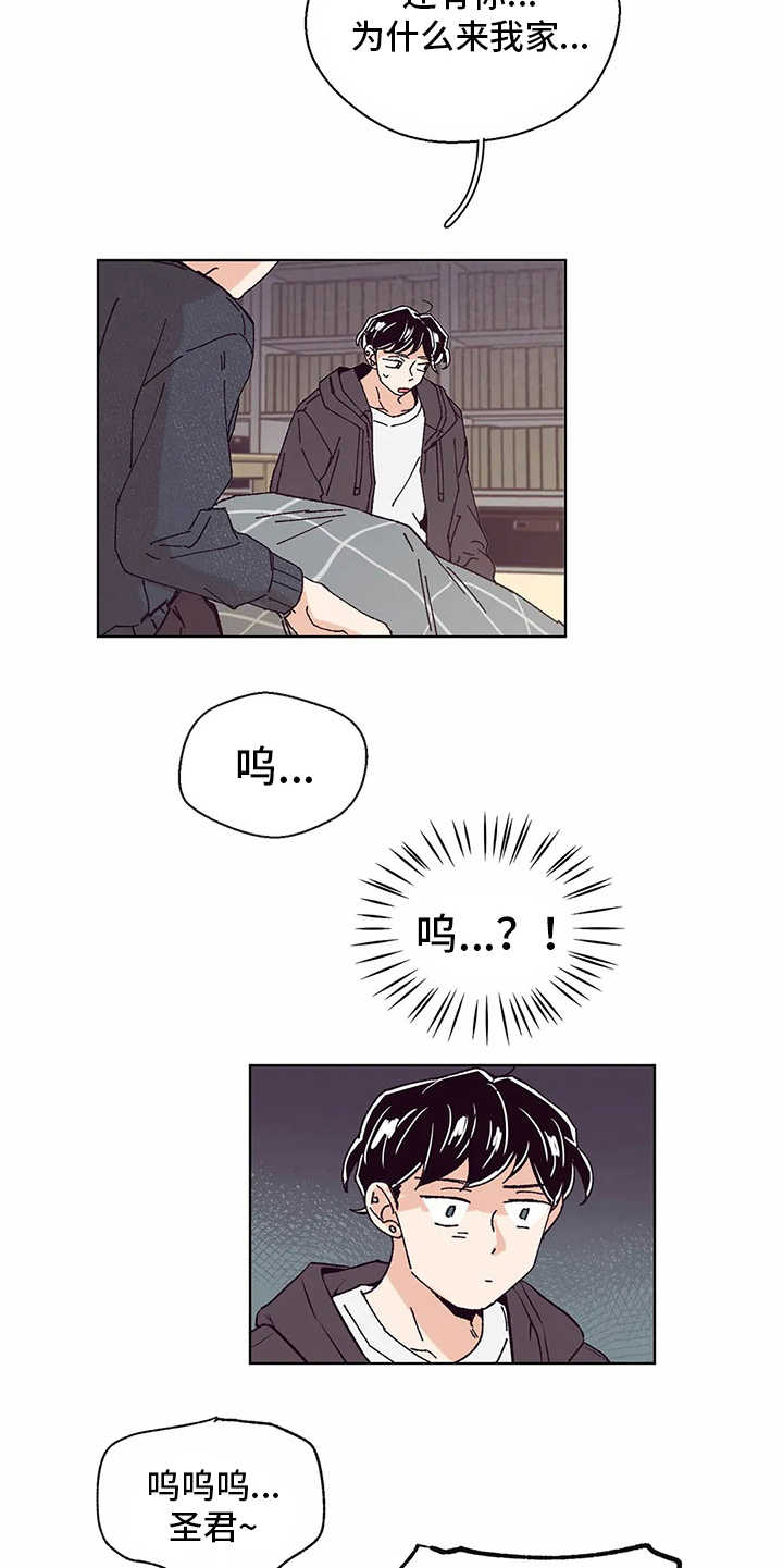 婚礼祝歌漫画,第53章：照顾5图
