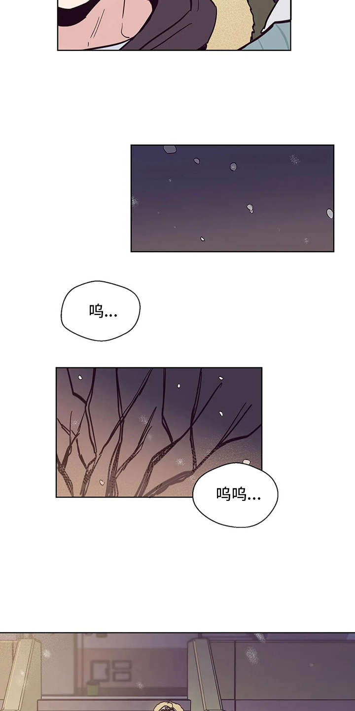 婚礼祝歌明星漫画,第46章：真面目5图