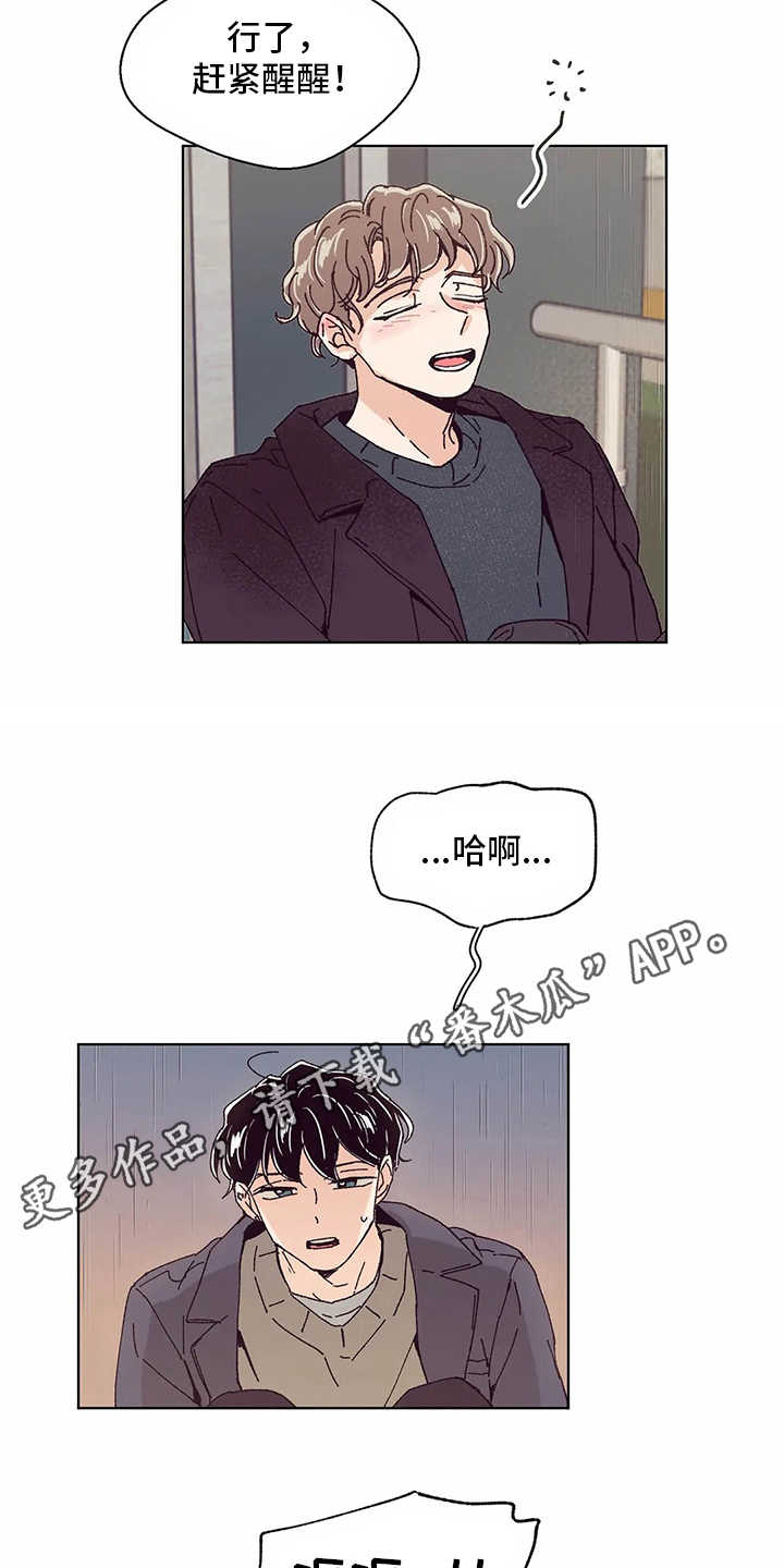 婚礼祝福语大全漫画,第52章：喝醉了3图