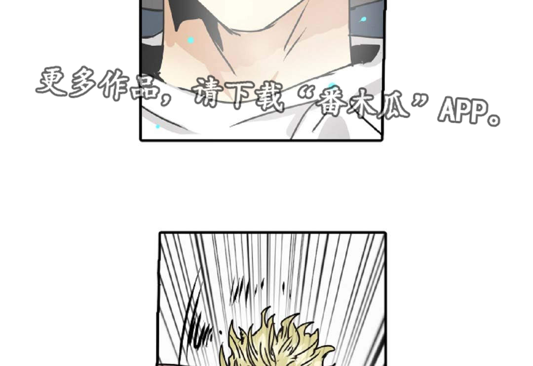 第46章：出事了1