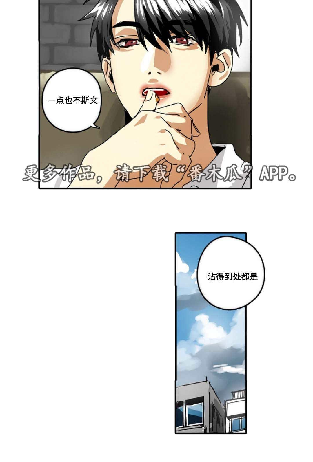 第31章：权力的象征1