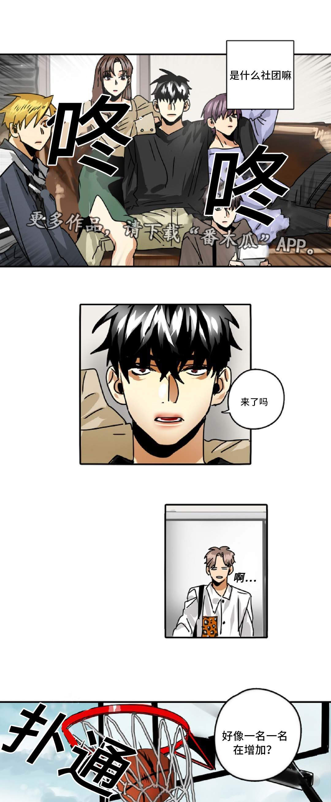 第43章：理想型3