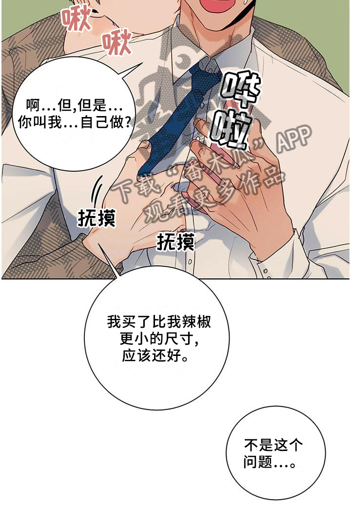 我的医生女友全文阅读漫画,第97章：【番外】相见3图