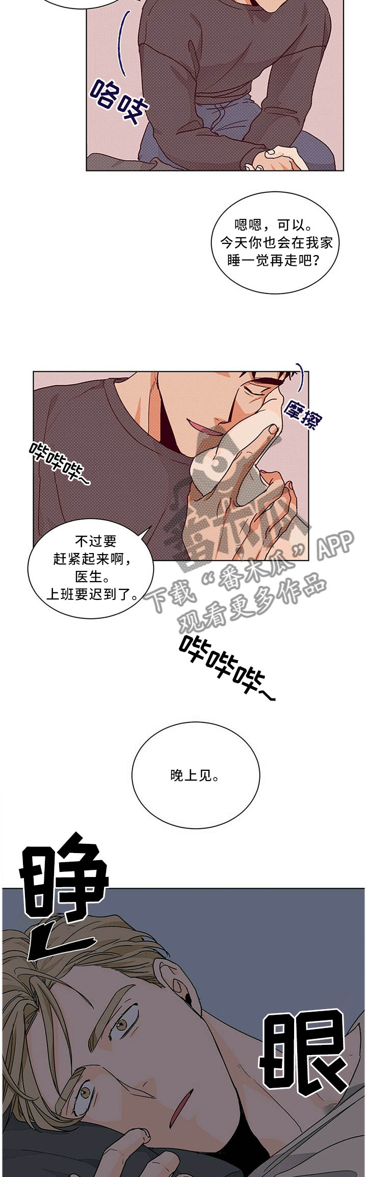 我的医生漫画,第77章：故事的终章2图